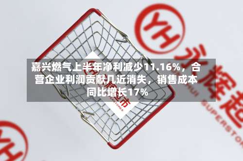 嘉兴燃气上半年净利减少11.16%，合营企业利润贡献几近消失	，销售成本同比增长17%-第2张图片