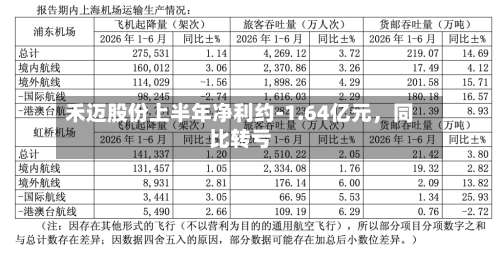 禾迈股份上半年净利约-1.64亿元，同比转亏-第2张图片