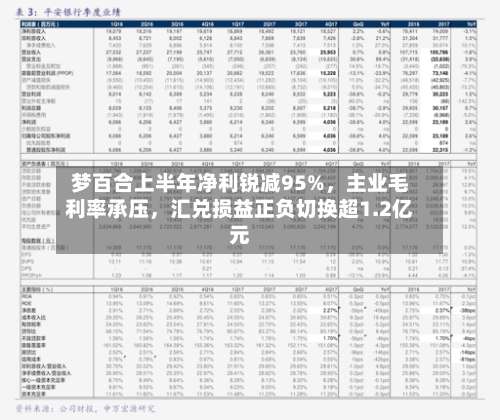 梦百合上半年净利锐减95%，主业毛利率承压，汇兑损益正负切换超1.2亿元-第2张图片