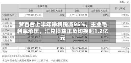 梦百合上半年净利锐减95%，主业毛利率承压，汇兑损益正负切换超1.2亿元-第3张图片