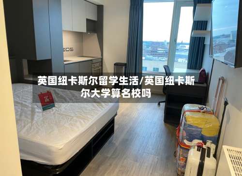 英国纽卡斯尔留学生活/英国纽卡斯尔大学算名校吗