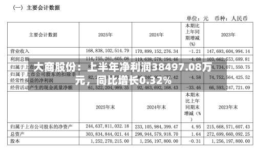 大商股份：上半年净利润38497.08万元，同比增长0.32%-第2张图片