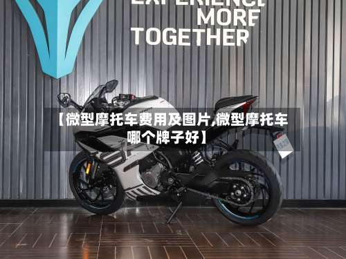 【微型摩托车费用及图片,微型摩托车哪个牌子好】-第3张图片