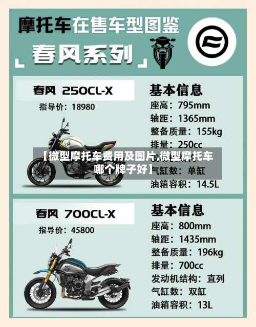 【微型摩托车费用及图片,微型摩托车哪个牌子好】