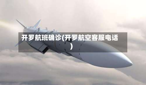 开罗航班确诊(开罗航空客服电话)-第2张图片