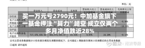 买一万元亏2790元！中加基金旗下 一基金押注“算力	”踏空 成立仅两个多月净值跌近28%-第2张图片