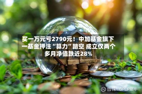买一万元亏2790元！中加基金旗下 一基金押注“算力”踏空 成立仅两个多月净值跌近28%-第3张图片