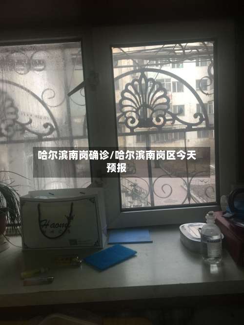 哈尔滨南岗确诊/哈尔滨南岗区今天预报