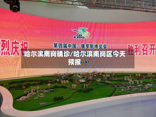哈尔滨南岗确诊/哈尔滨南岗区今天预报-第2张图片