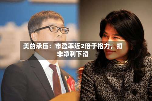 美的承压：市盈率近2倍于格力	，扣非净利下滑-第3张图片