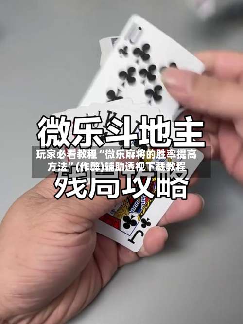 玩家必看教程“微乐麻将的胜率提高方法”(作弊)辅助透视下载教程-第2张图片