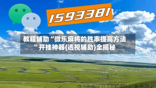 教程辅助“微乐麻将的胜率提高方法”开挂神器{透视辅助}全揭秘-第2张图片