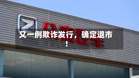 又一例欺诈发行，确定退市！-第2张图片