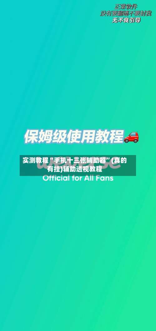 实测教程“手机十三张辅助器”(真的有挂)辅助透视教程