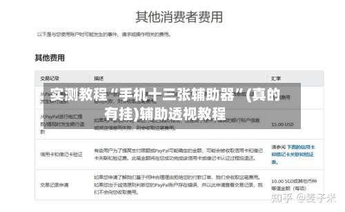 实测教程“手机十三张辅助器”(真的有挂)辅助透视教程-第2张图片