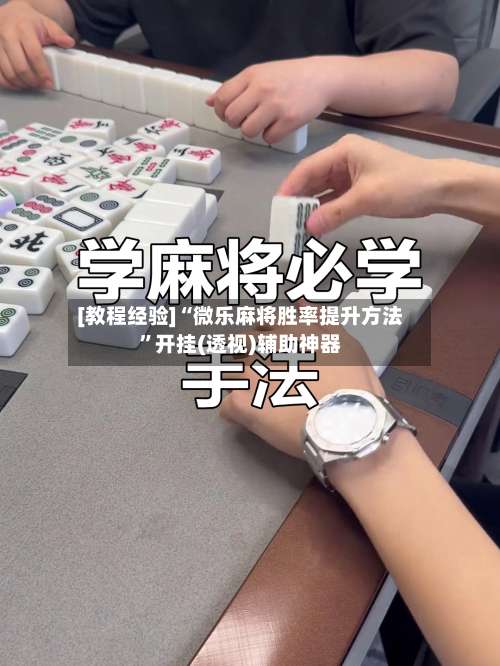[教程经验]“微乐麻将胜率提升方法”开挂(透视)辅助神器-第2张图片