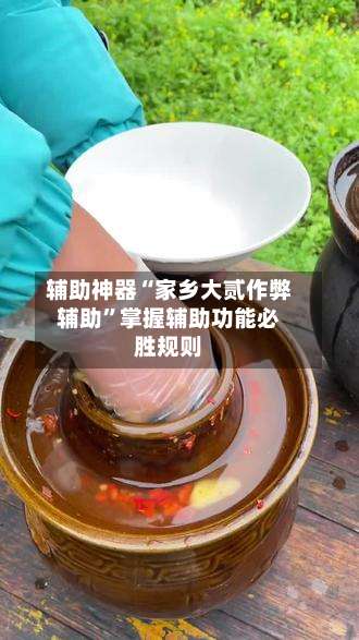 辅助神器“家乡大贰作弊辅助	”掌握辅助功能必胜规则-第2张图片