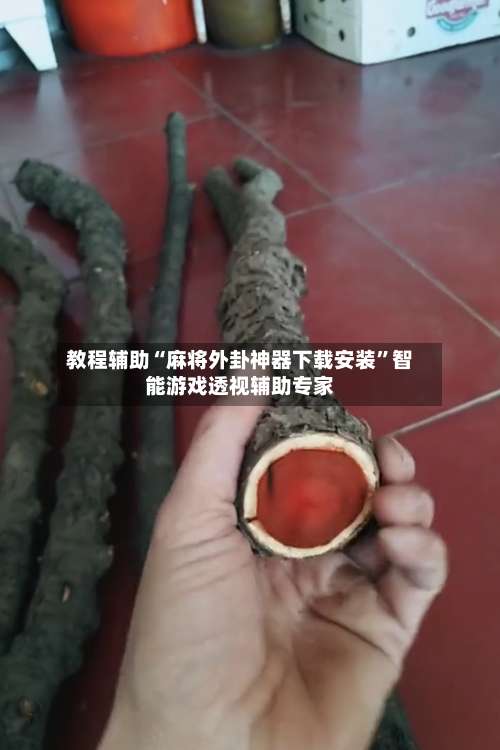 教程辅助“麻将外卦神器下载安装”智能游戏透视辅助专家-第2张图片
