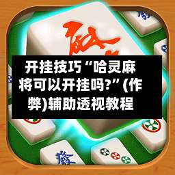 开挂技巧“哈灵麻将可以开挂吗?”(作弊)辅助透视教程-第3张图片