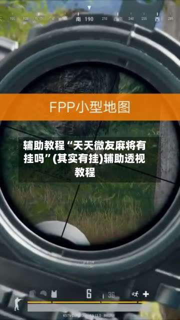 辅助教程“天天微友麻将有挂吗”(其实有挂)辅助透视教程-第3张图片