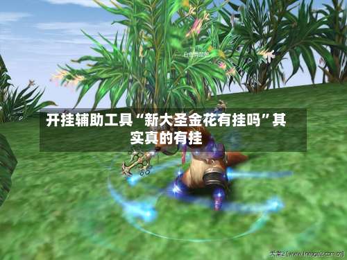 开挂辅助工具“新大圣金花有挂吗”其实真的有挂