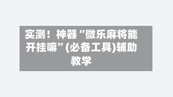 实测！神器“微乐麻将能开挂嘛	”(必备工具)辅助教学-第2张图片