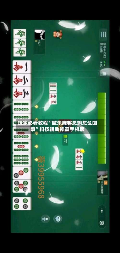 玩家必看教程“微乐麻将总输怎么回事	”科技辅助神器手机版-第2张图片