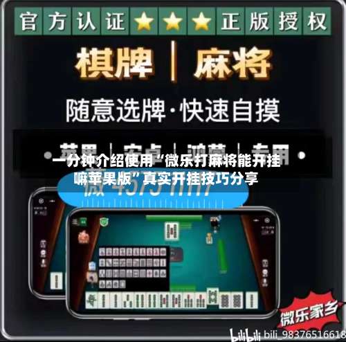 一分钟介绍使用“微乐打麻将能开挂嘛苹果版”真实开挂技巧分享-第2张图片