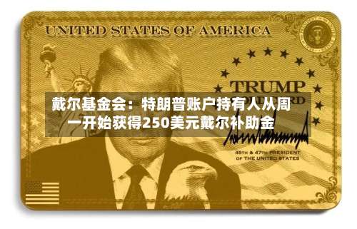 戴尔基金会:特朗普账户持有人从周一开始获得250美元戴尔补助金-第3张图片