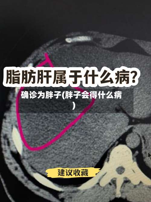 确诊为胖子(胖子会得什么病)