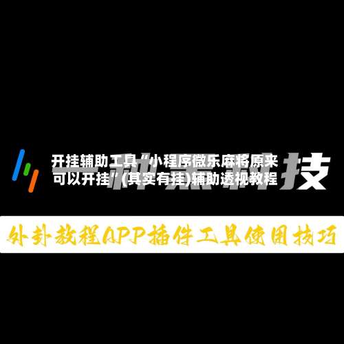 开挂辅助工具“小程序微乐麻将原来可以开挂”(其实有挂)辅助透视教程-第2张图片
