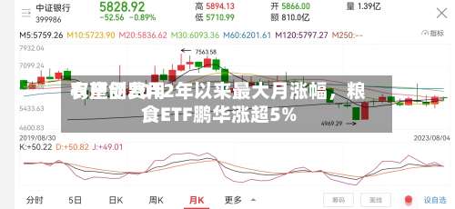 农产品费用有望创2012年以来最大月涨幅	，粮食ETF鹏华涨超5%-第2张图片