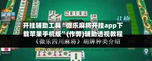 开挂辅助工具“微乐麻将开挂app下载苹果手机版”(作弊)辅助透视教程-第3张图片