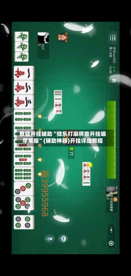 教程开挂辅助“微乐打麻将能开挂嘛苹果版”(辅助神器)开挂详细教程-第2张图片