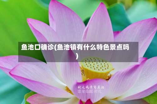 鱼池口确诊(鱼池镇有什么特色景点吗)
