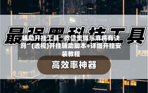 辅助开挂工具“微信里微乐麻将有诀窍	”(透视)开挂辅助脚本+详细开挂安装教程-第2张图片