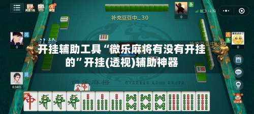 开挂辅助工具“微乐麻将有没有开挂的”开挂(透视)辅助神器-第2张图片