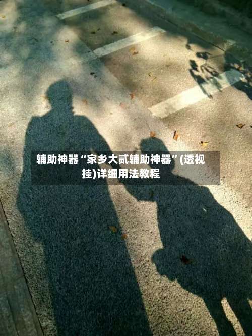 辅助神器“家乡大贰辅助神器”(透视挂)详细用法教程-第3张图片