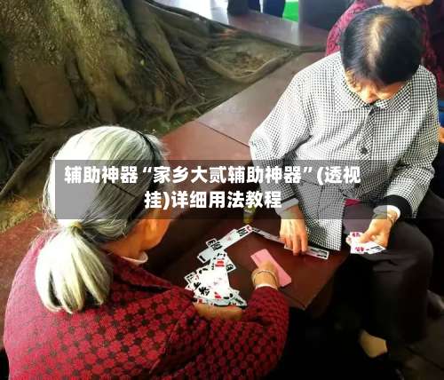 辅助神器“家乡大贰辅助神器	”(透视挂)详细用法教程-第2张图片