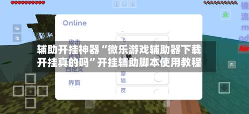 辅助开挂神器“微乐游戏辅助器下载开挂真的吗”开挂辅助脚本使用教程-第3张图片