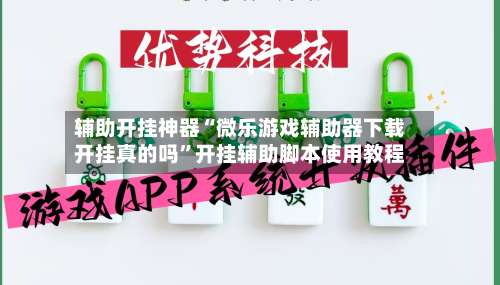 辅助开挂神器“微乐游戏辅助器下载开挂真的吗”开挂辅助脚本使用教程-第2张图片