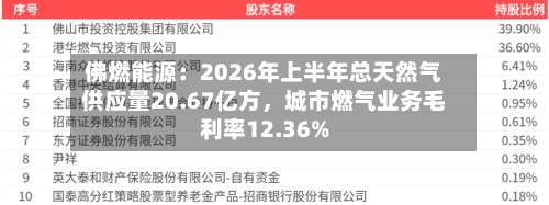 佛燃能源：2026年上半年总天然气供应量20.67亿方，城市燃气业务毛利率12.36%-第3张图片