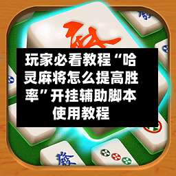 玩家必看教程“哈灵麻将怎么提高胜率”开挂辅助脚本使用教程-第2张图片