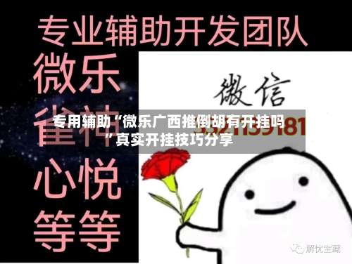 专用辅助“微乐广西推倒胡有开挂吗	”真实开挂技巧分享-第2张图片