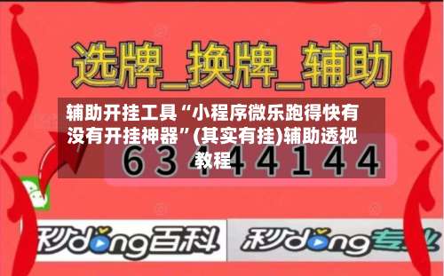 辅助开挂工具“小程序微乐跑得快有没有开挂神器	”(其实有挂)辅助透视教程-第2张图片