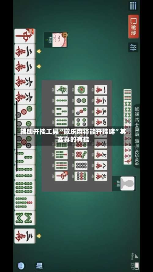 辅助开挂工具“微乐麻将能开挂嘛”其实真的有挂-第2张图片