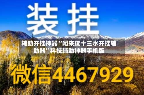 辅助开挂神器“闲来玩十三水开挂辅助器	”科技辅助神器手机版-第2张图片