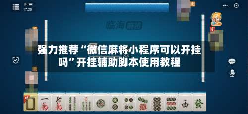 强力推荐“微信麻将小程序可以开挂吗”开挂辅助脚本使用教程-第3张图片