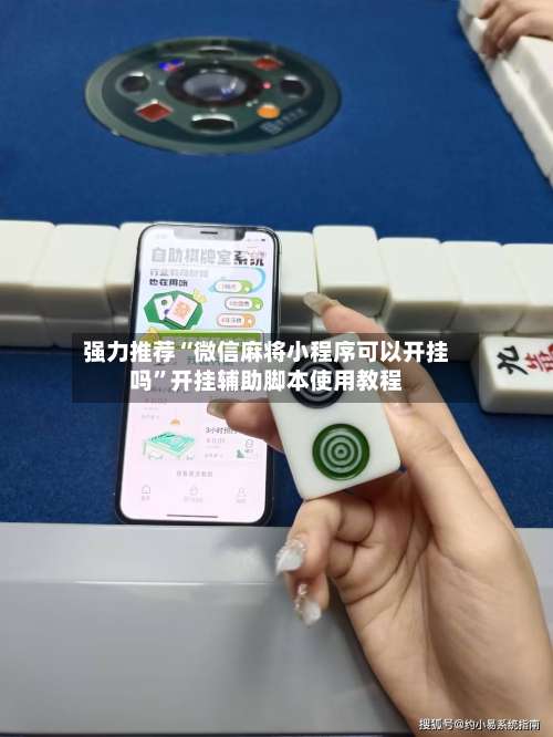强力推荐“微信麻将小程序可以开挂吗”开挂辅助脚本使用教程-第2张图片